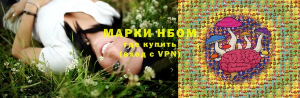 spice Баксан