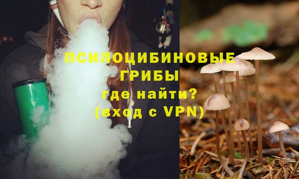 spice Баксан