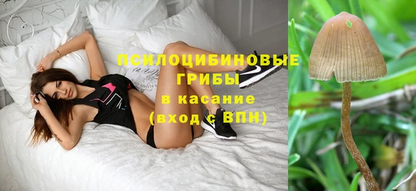 spice Баксан
