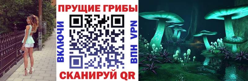 Галлюциногенные грибы прущие грибы  дарнет шоп  Вяземский 